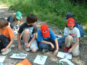 montagnart08